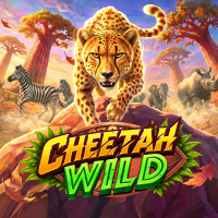 Persentase RTP untuk Cheetah Wild oleh Pragmatic Play